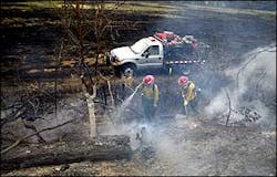 1125081534288 10696549 1125081534288 10696549