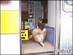 1128457207893 10697771 1128457207893 10697771