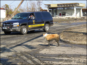 A South Carolina Task Force unit operates near St. Bernard Parish Fire Station 6, which was destroyed by the storm.