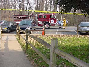 1136930854385 10697574