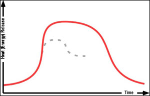 Figure 8. Fire development curve.