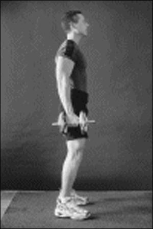 Squat Strength Ladder