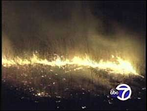 (Oakwood-WABC, March 14, 2006) - The FDNY is looking for a cause of the second brush fire in four days on Staten Island.