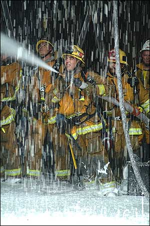 1149694645957 10698637