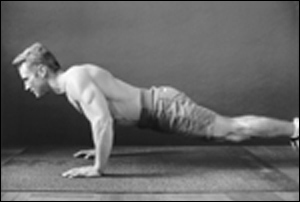 Exercise 2: The Push Up