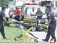 1151445261214 10698536