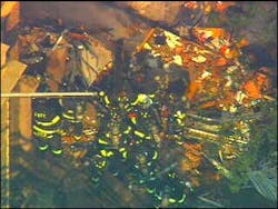 1152539401497 10698505 1152539401497 10698505