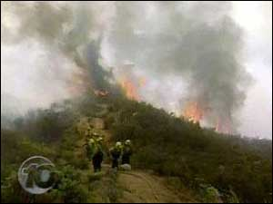 1154356198400 10698404