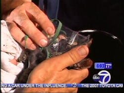 1154965390761 10698391 1154965390761 10698391