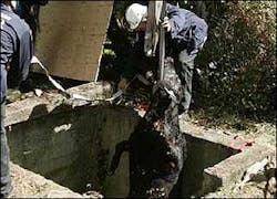 Rescuers provided supplemental oxygen to the well, and then lowered a firefighter into the well to administer a tranquilizer. Rescuers provided supplemental oxygen to the well, and then lowered a firefighter into the well to administer a tranquilizer.