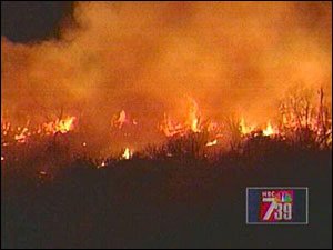 1170882795271 10703593