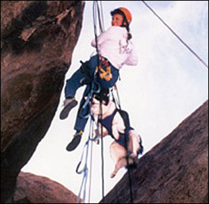 1174677616667 10699512