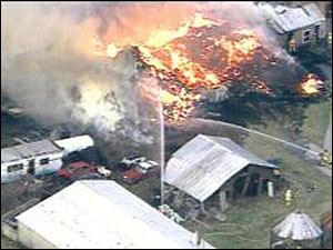 1175005304496 10699503