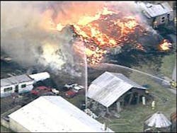 1175005304496 10699503 1175005304496 10699503