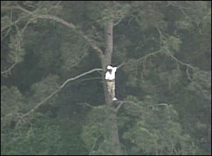 1175698578923 10699469