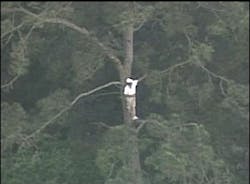 1175698578923 10699469 1175698578923 10699469