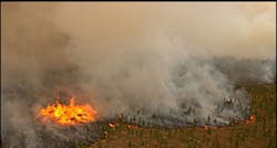 1177943743358 10699343 1177943743358 10699343