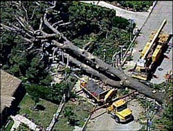 1178657206554 10699295 1178657206554 10699295