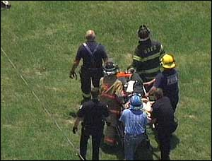 1179946445958 10699229