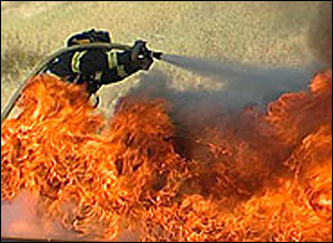 1182366796813 10699091