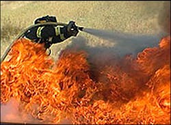 1182366796813 10699091 1182366796813 10699091