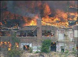 1182961700975 10699058 1182961700975 10699058