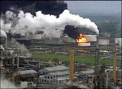 1184254015016 10700320 1184254015016 10700320