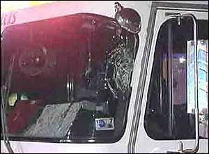 1185206823808 10700273