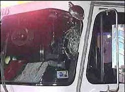 1185206823808 10700273 1185206823808 10700273