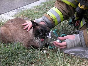 1189106525609 10700072