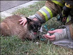 1189106525609 10700072 1189106525609 10700072