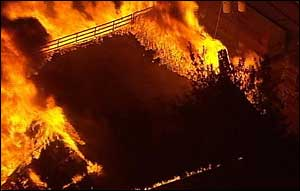 1194534833131 10699872