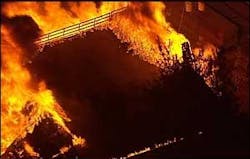 1194534833131 10699872 1194534833131 10699872