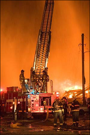 1195658791317 10699808