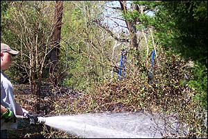 1208447517613 10700955