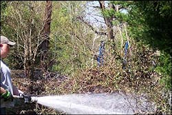 1208447517613 10700955 1208447517613 10700955