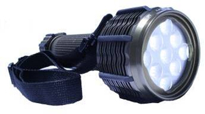 1208814665630 10701611