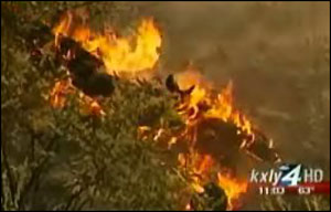 Flames died down as soon as firefighters established a fireline.