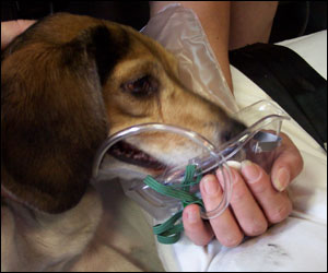 1219685816430 10701323