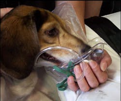 1219685816430 10701323 1219685816430 10701323