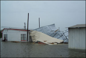 1222201603113 10702156