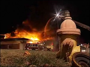 1232127915858 10701959