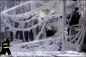 1232256079008 10701957