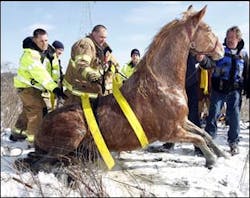 The horse was able to stand and was led to a barn. The horse was able to stand and was led to a barn.