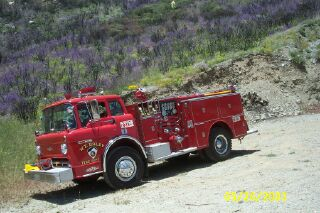 1053988835392 10638177