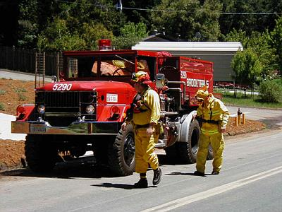 1079644353720 10648196