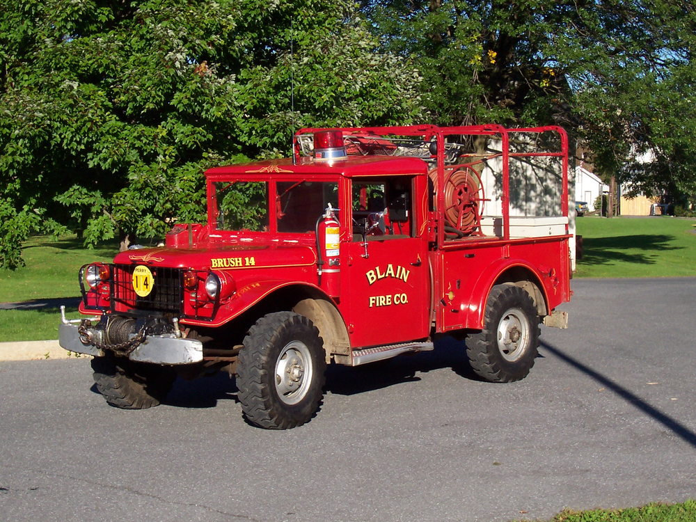 1097181545077 10646686