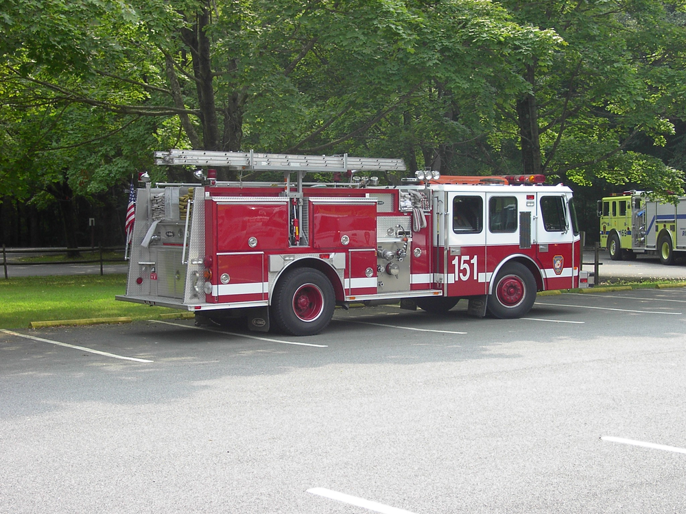 1130347208512 10650339