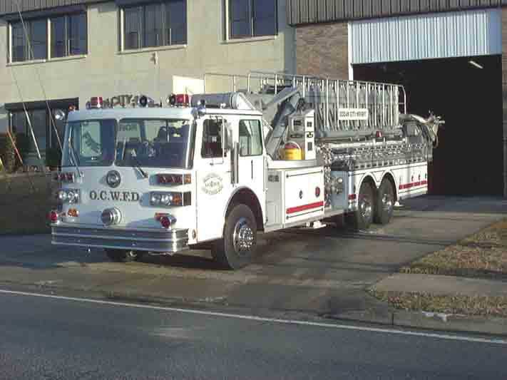 1138025392559 10650029