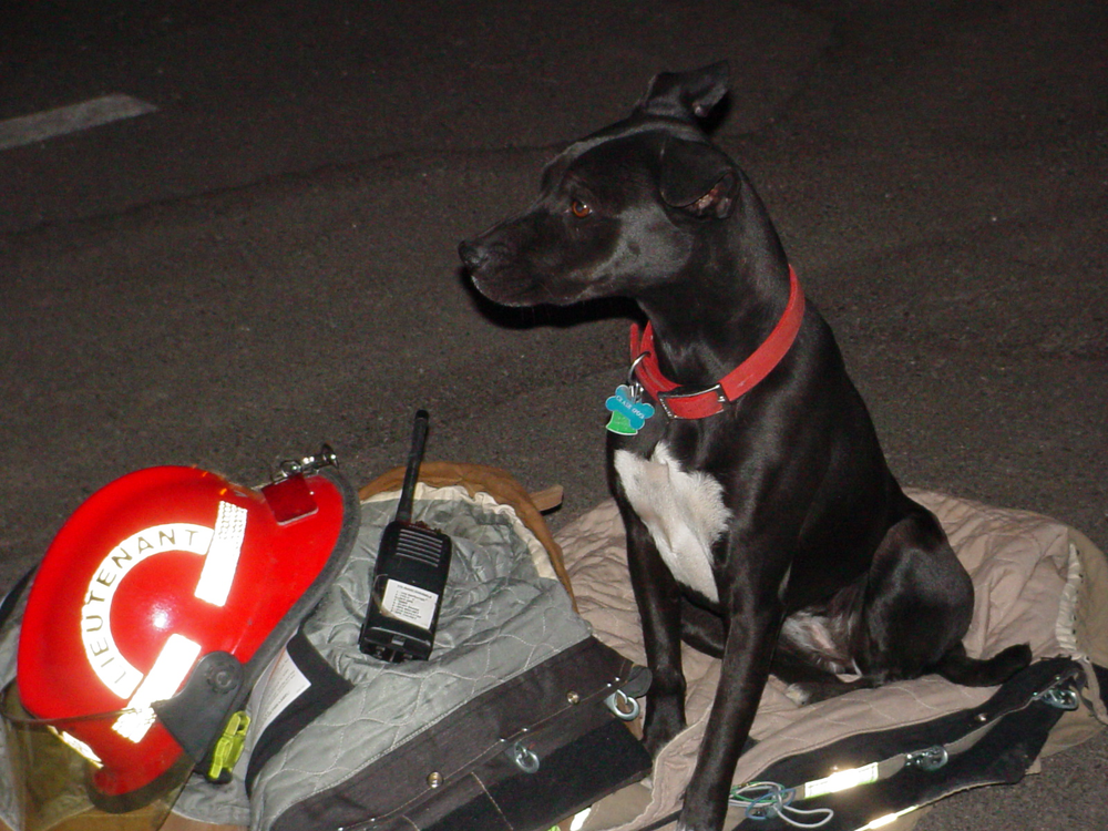 1140559726054 10643484